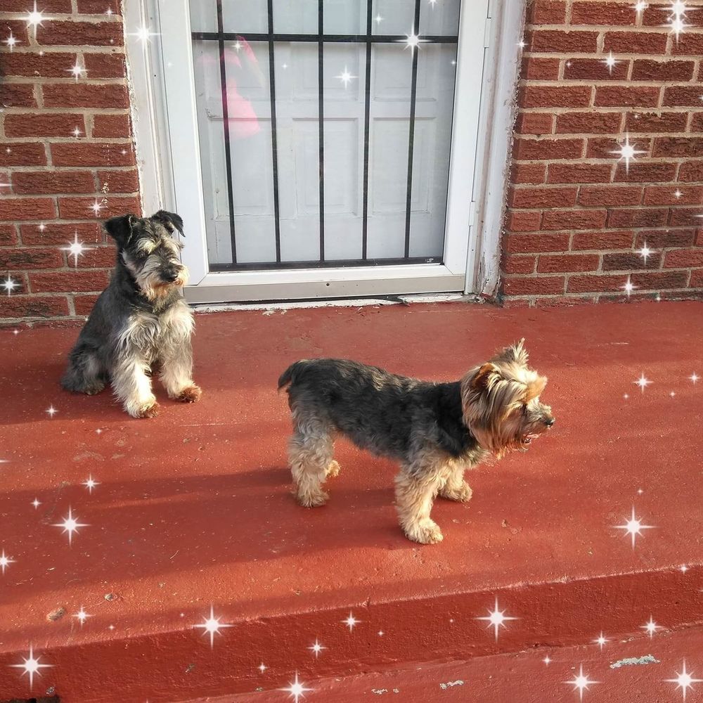 Meet your Posher, Monica